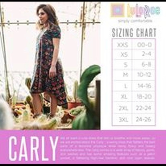 NWT LULAROE CARLY DRESS. - Picture 2 of 2